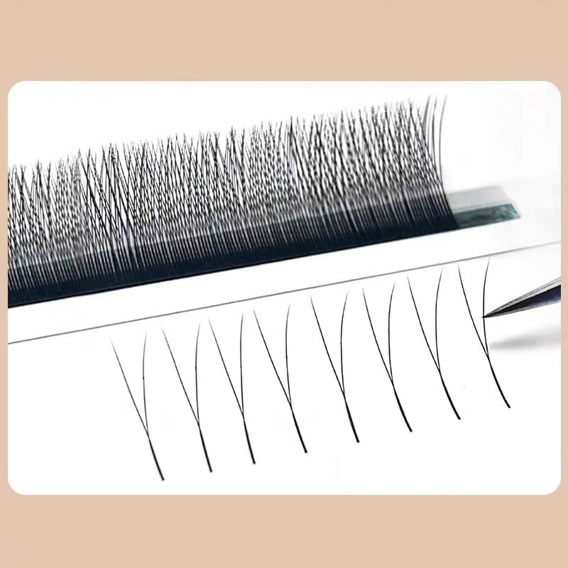 MARIA 2D Y Shape Eyelashes Han - Eyelash Extension For Asian Eyes ulasan dan harga