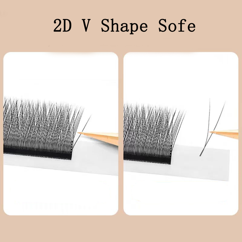 MARIA 2D Y Shape Eyelashes Han - Eyelash Extension For Asian Eyes ulasan dan harga